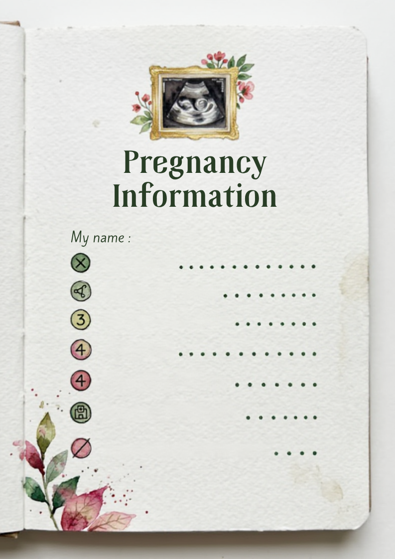 My Pregnancy Journey Journal-Pregnancy Memory Book